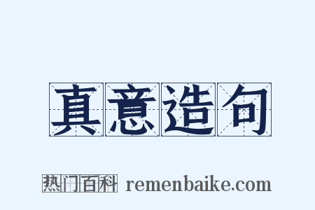 真意造句是什么意思的图片